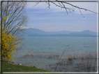 foto Lago di Garda